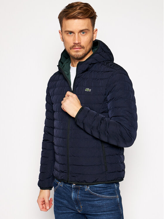 Lacoste Daunenjacke Bh Schwarz Regular Fit Modivo De