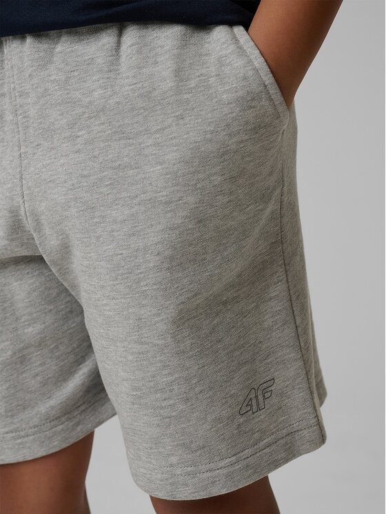4F 4F Szorty sportowe BASIC+ Szary Regular Fit