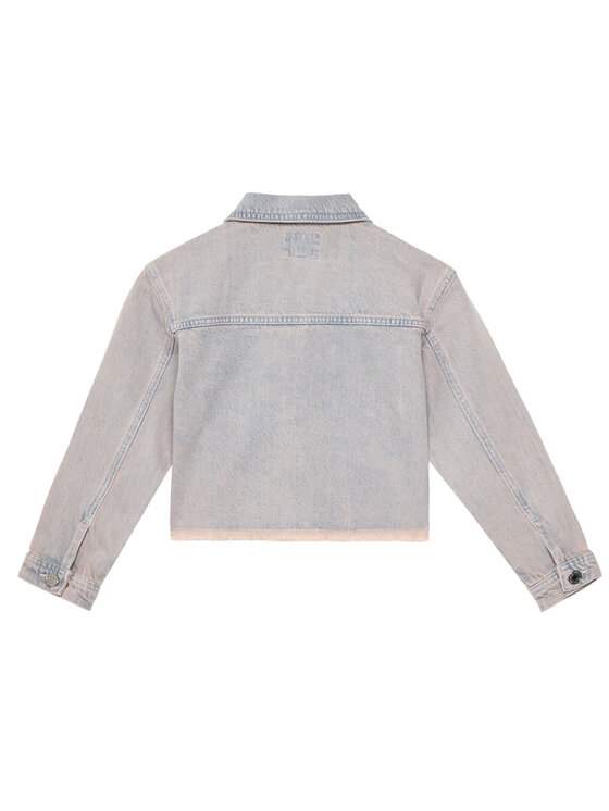 Guess Guess Übergangsjacke J5GL00 D5NI0 Grau Regular Fit