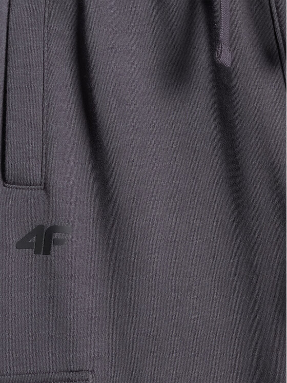 4F 4F Pantaloni da tuta ENJOY THE OUTDOORS Grigio scuro Regular Fit