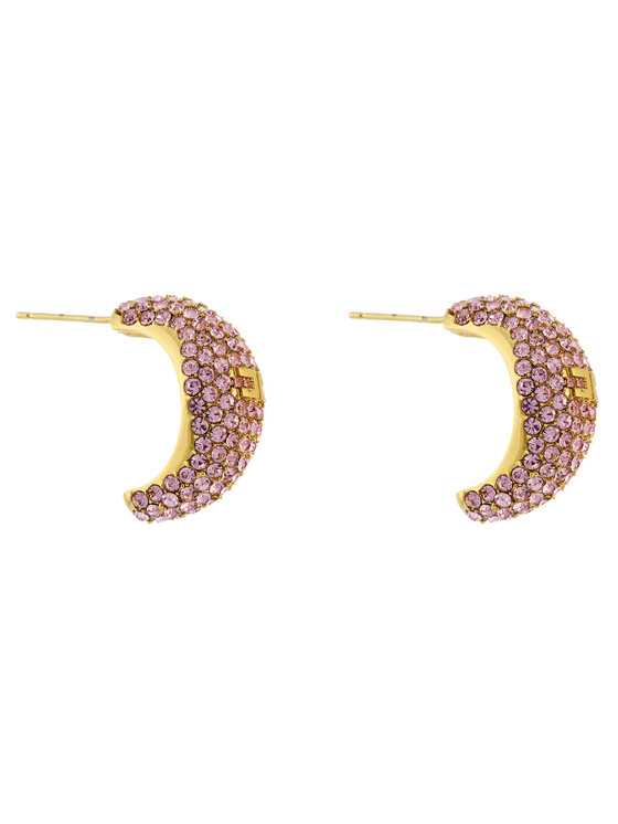 Elisabetta Franchi Elisabetta Franchi Сережки OR-44M-51E2-V250 Рожевий