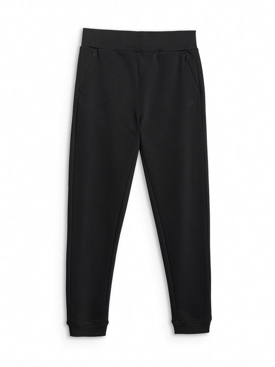 4F 4F Spodnie dresowe NOS Czarny Regular Fit