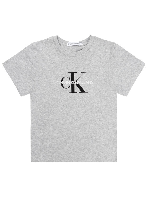 Calvin Klein Jeans T-krekls Monogram Logo IU0IU00068 Pelēks Regular Fit