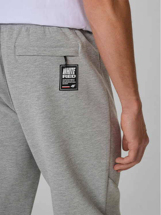 4F 4F Joggery STREFA KIBICA Szary jasny Regular Fit