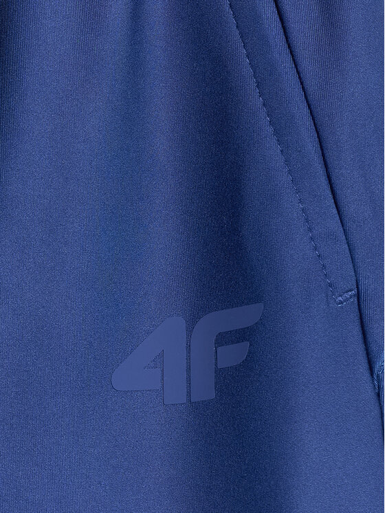 4F 4F Spodnie dresowe AQUA FORCE Kolorowy Regular Fit
