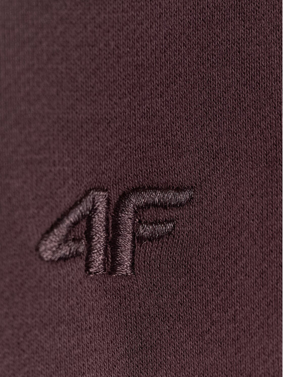 4F 4F Bluza BASIC+ Brązowy Relaxed Fit
