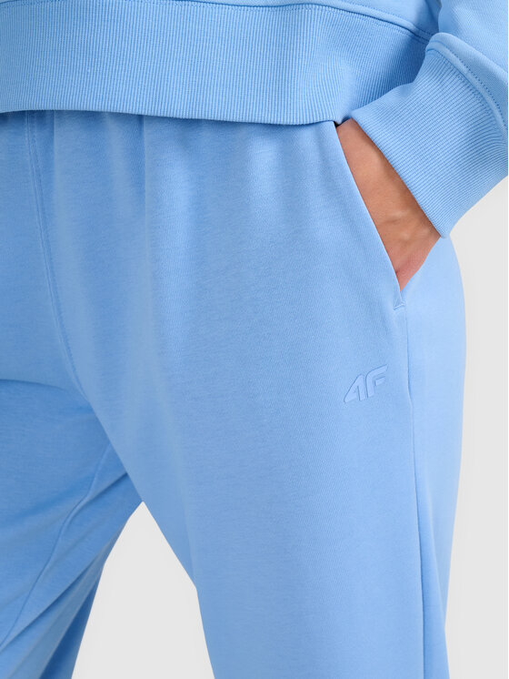 4F 4F Spodnie dresowe NOS Regular Fit