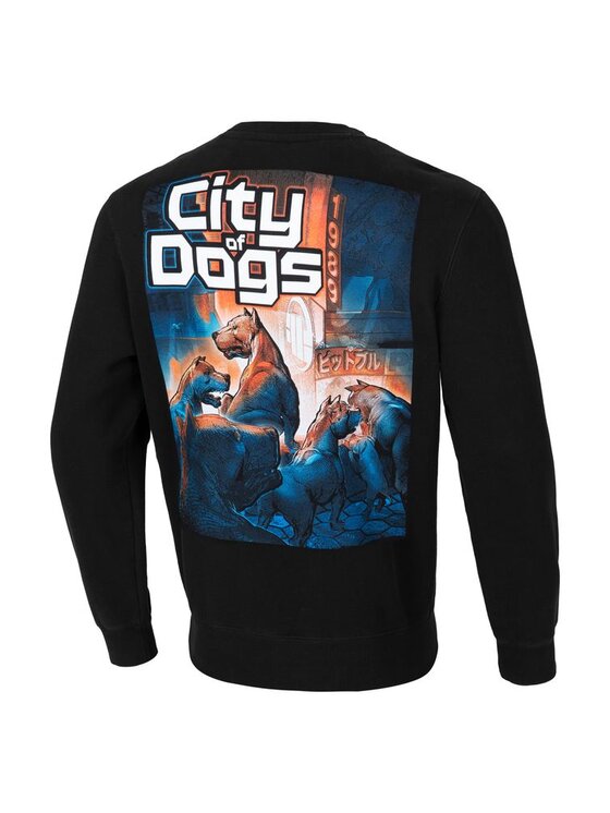PITBULL PITBULL Bluza Bluza męska City Of Dogs S Czarny Regular Fit