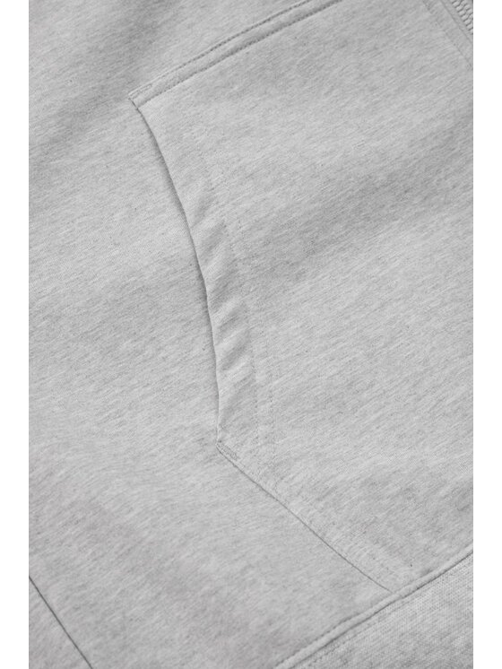 PITBULL PITBULL Bluza PHYSICAL CULTURE Szary Regular Fit