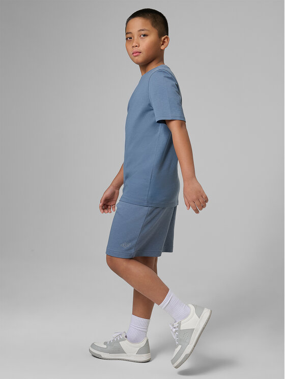 4F 4F Szorty sportowe BASIC+ Regular Fit