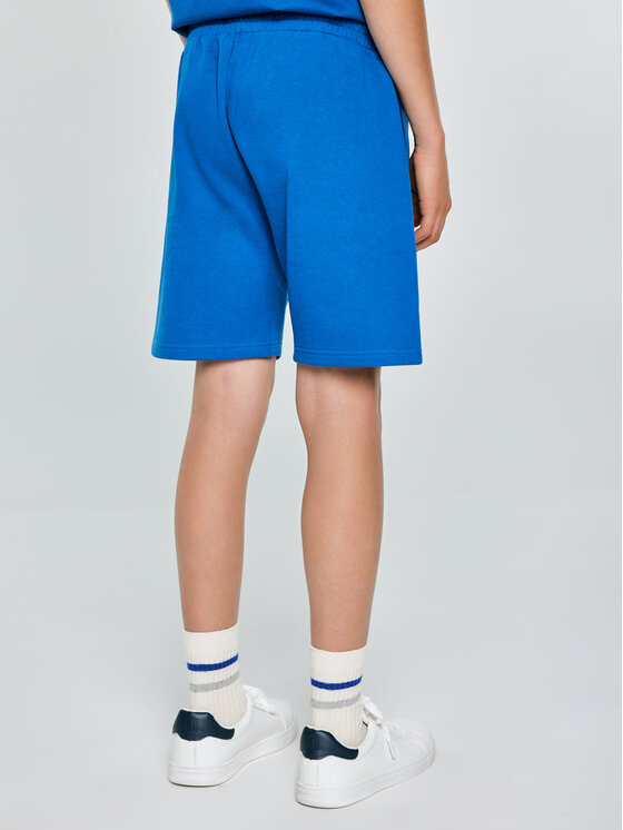 BIG STAR BIG STAR Szorty materiałowe BARON Niebieski Basic Fit