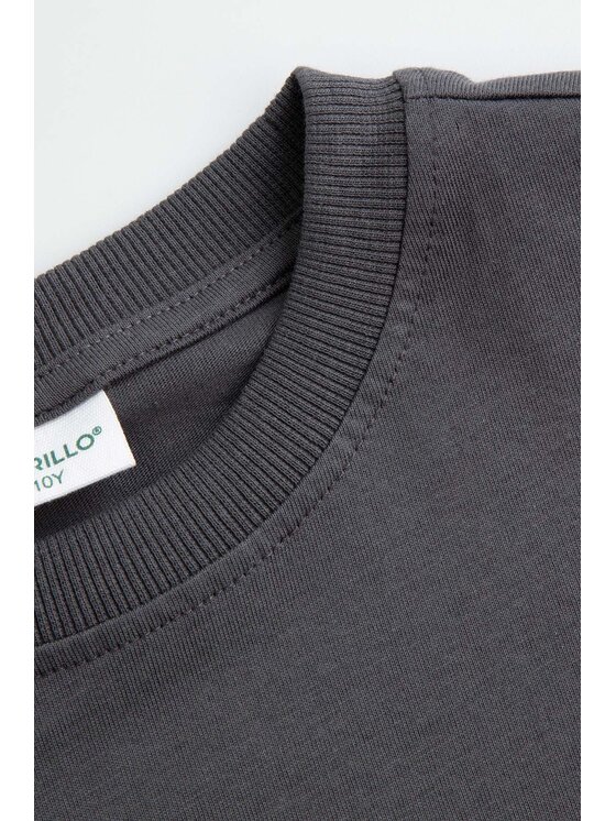 Coccodrillo Coccodrillo T-Shirt ZC6143201WBJ-020 Szary Regular Fit