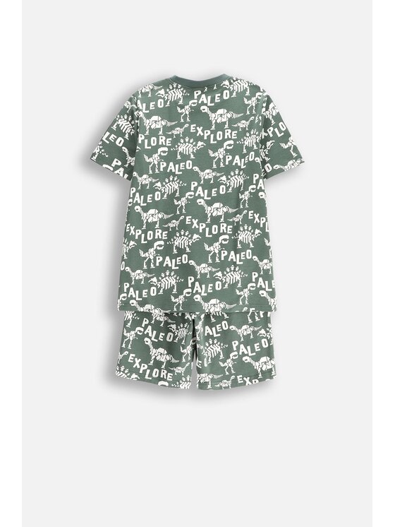 Coccodrillo Coccodrillo Piżama WC5448220PJS-012 Zielony Regular Fit