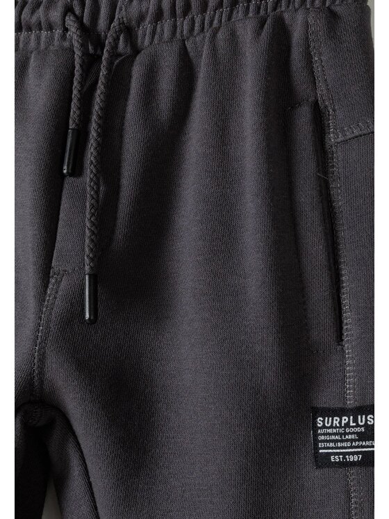 minoti minoti Spodnie dresowe 23fleece44 Szary Regular Fit