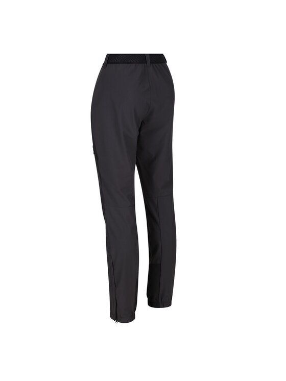 Regatta Regatta Spodnie outdoor Mountain III Szary Ergonomic Fit