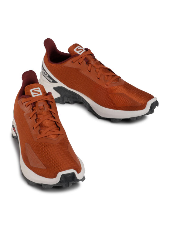 Salomon Salomon Tekaški čevlji Alphacross Blast 411035 28 W0 Rjava