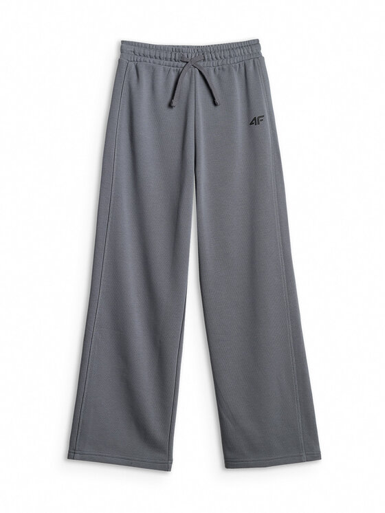 4F 4F Spodnie dresowe WILD WANDERLUST Szary ciemny Loose Fit