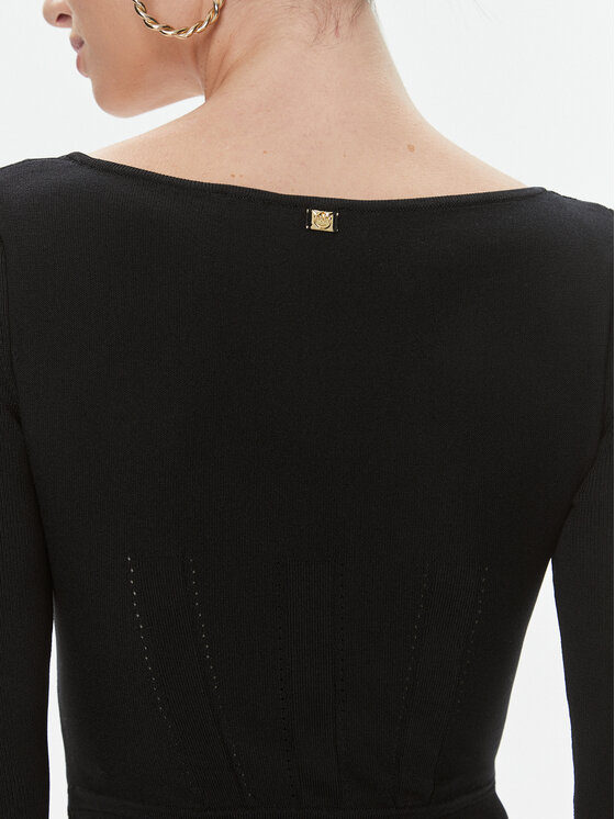 PINKO Pinko Džemper haljina Cavallo 101856 A16N Crna Slim Fit