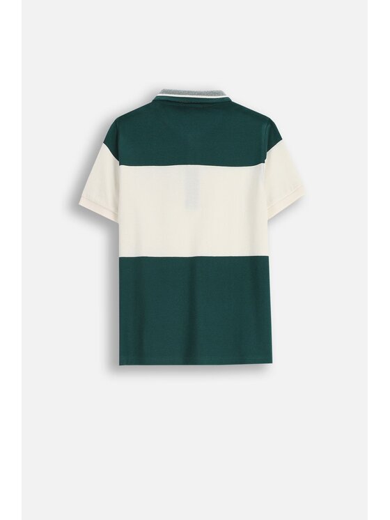 Coccodrillo Coccodrillo T-Shirt ZC5143601ABJ-011 Zielony Regular Fit
