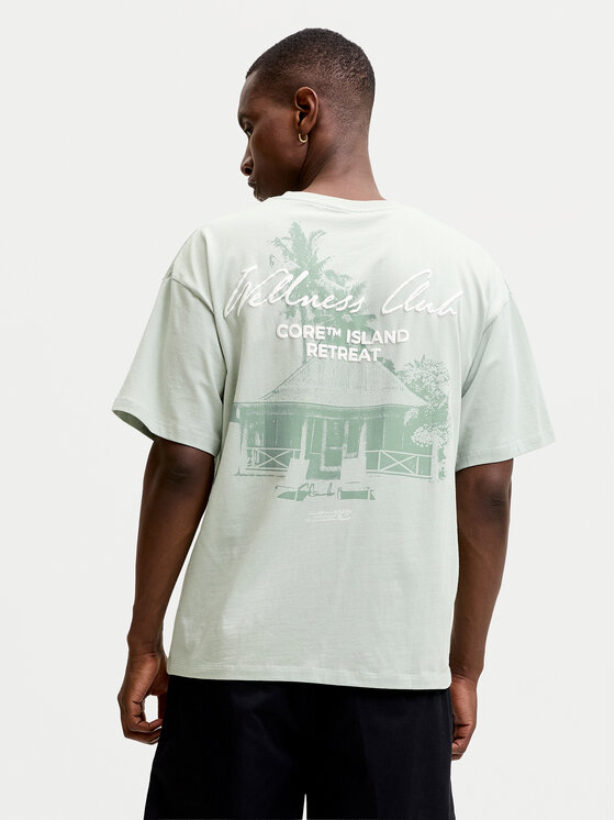 Jack & Jones Jack & Jones Футболка Eterna 12295544 Svetlozelena Loose Fit