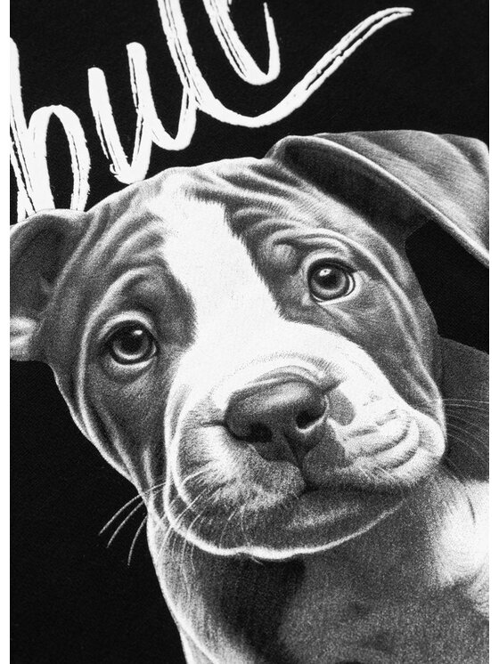 PITBULL PITBULL Bluza Bluza damska z kapturem oversize Puppy XS Czarny Oversize