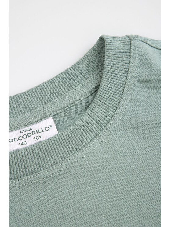Coccodrillo Coccodrillo S dlouhým rukávem WC6143102NBJ-011 Zelená Regular Fit
