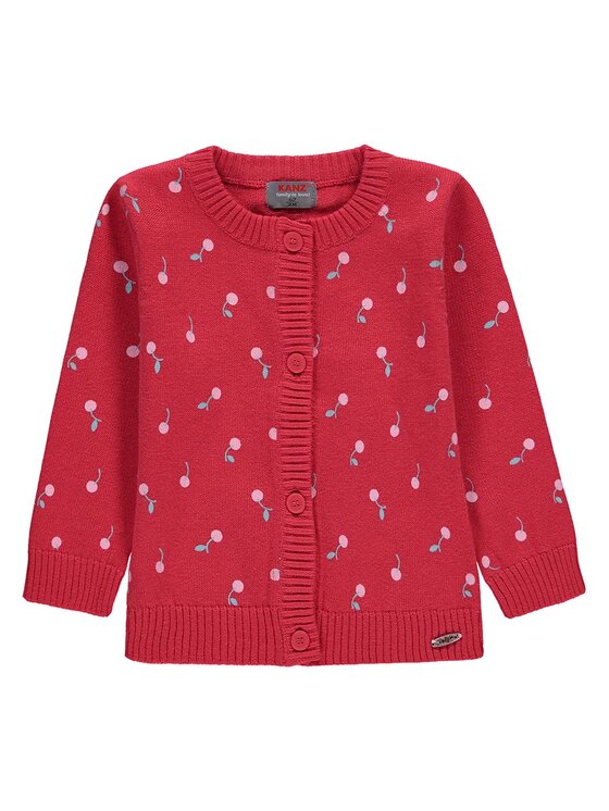 Kanz Kanz Sweter 1912157-2004 Czerwony Basic Fit