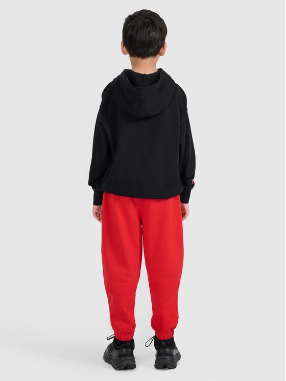 4F 4F Spodnie dresowe BASIC+ Czerwony Regular Fit