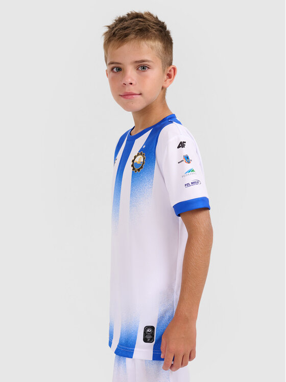 4F 4F Koszulka techniczna TEAMWEAR Kolorowy Regular Fit
