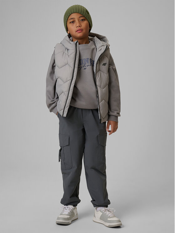 4F 4F Kamizelka OUTERWEAR Szary Regular Fit