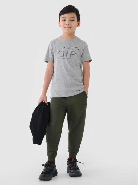 4F 4F T-Shirt 4FJWSS25TTSHM2179-27M Szary Regular Fit