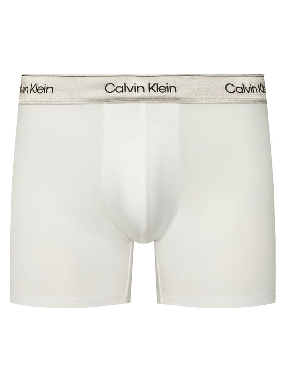 Calvin Klein Underwear Calvin Klein Underwear Set bokserica﻿ LV00NB4576 Šarena