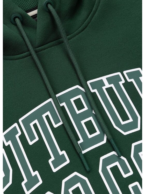 PITBULL PITBULL Bluza SO CAL Zielony Regular Fit