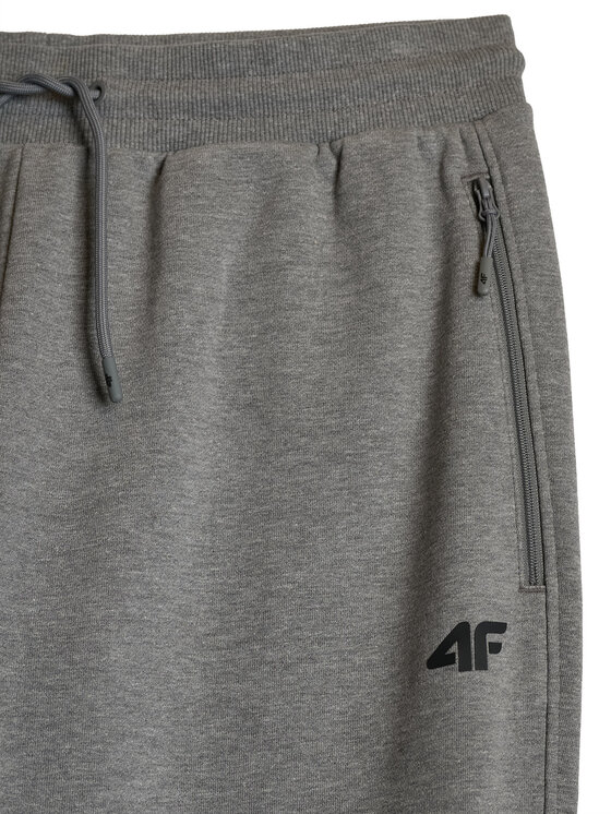 4F 4F Spodnie dresowe BASIC+ Szary Regular Fit
