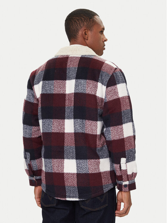 Tommy Jeans Tommy Jeans Übergangsjacke Check Teddy DM0DM22010 Bunt Regular Fit