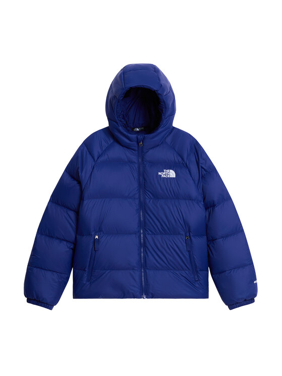 The North Face The North Face Daunenjacke NF0A8H3R Blau Regular Fit