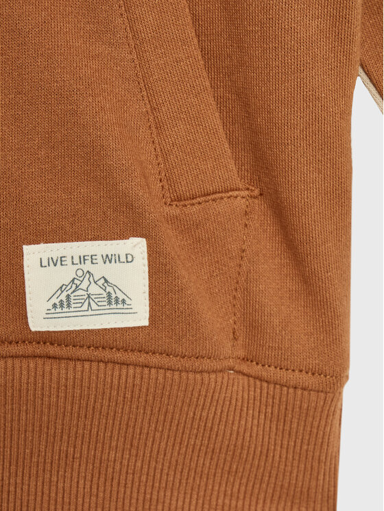 Cotton On Kids Cotton On Kids Sweatshirt 7343710 Braun Regular Fit