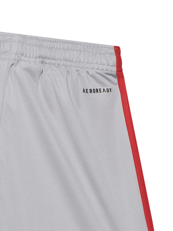 adidas adidas Pantaloni scurți sport Squadra 25 JP3416 Gri Regular Fit
