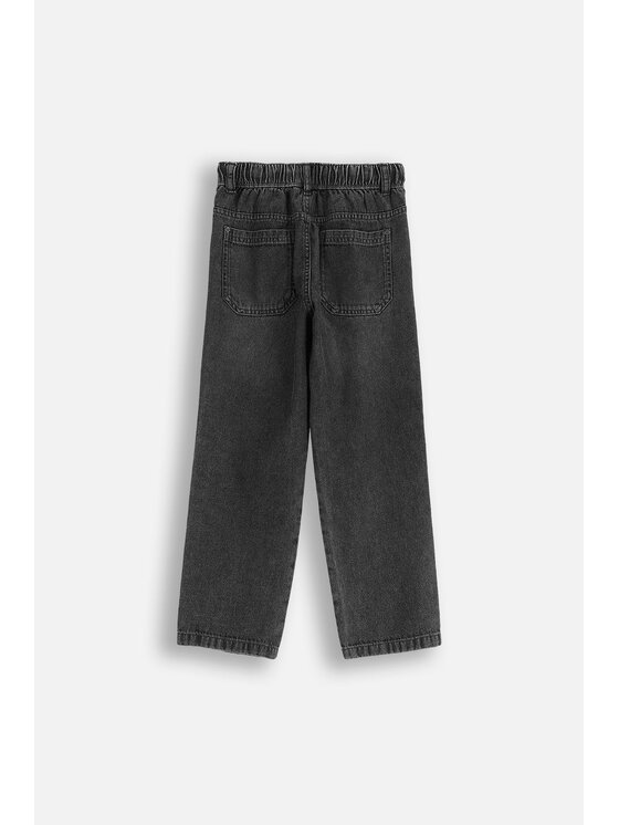 Coccodrillo Coccodrillo Džínsy WC6123101CJB-019 Sivá Regular Fit
