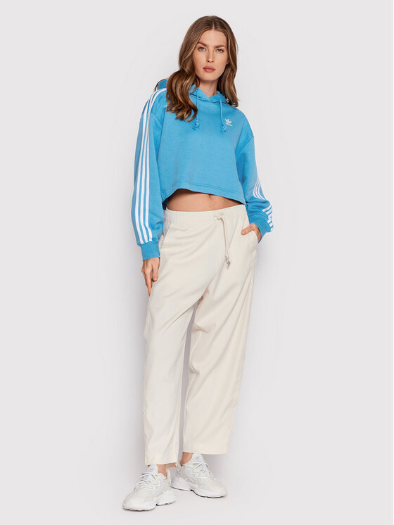 adidas adidas Μπλούζα adicolor Classics HC2014 Μπλε Relaxed Fit