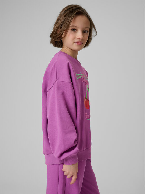 4F 4F Bluza JELLIFICATION Fioletowy Loose Fit