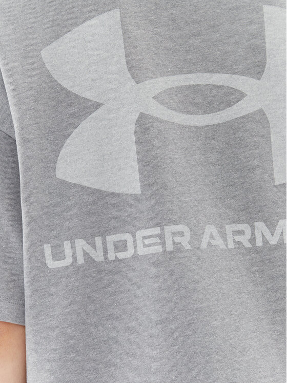 Under Armour Under Armour T-Shirt Ua W Logo Lc Oversized Hw Ss 1379948 Szary Loose Fit