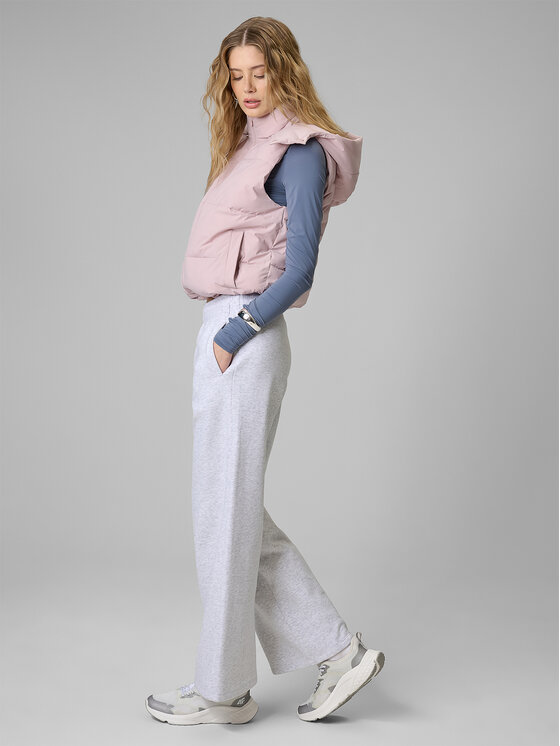 4F 4F Spodnie dresowe BASIC+ Szary jasny Regular Fit