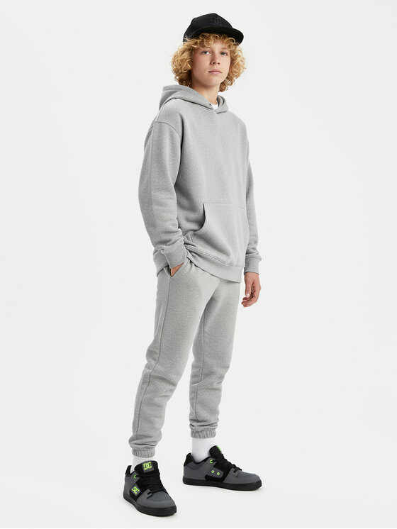 DC DC Sneakers EO-PURE DC01783003 Grau
