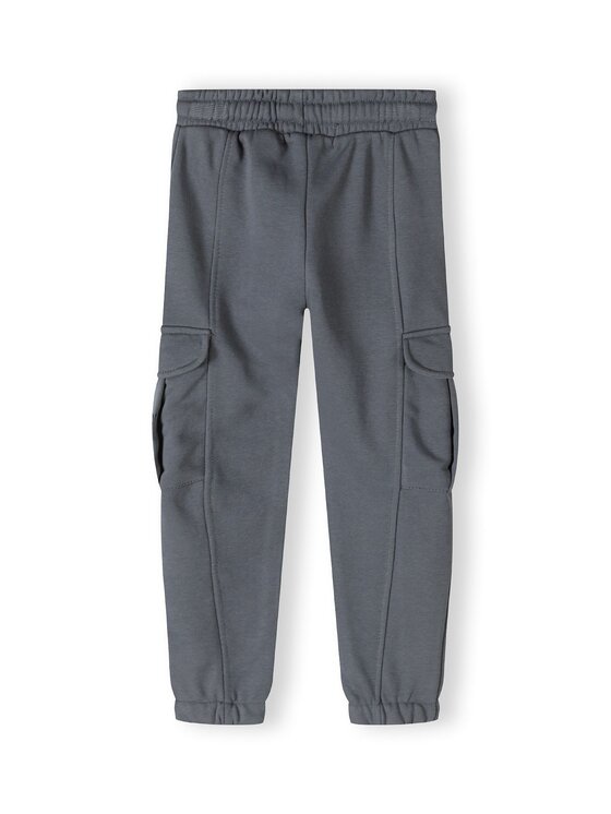 minoti minoti Spodnie dresowe 23fleece4 Szary Regular Fit