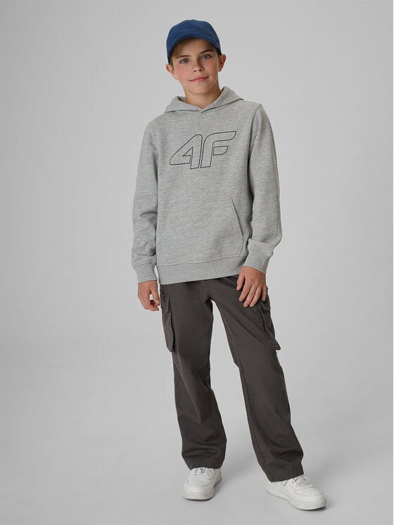 4F 4F Bluza BASIC+ Szary Regular Fit