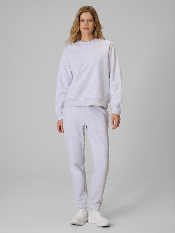 4F 4F Spodnie dresowe basic Szary jasny Regular Fit