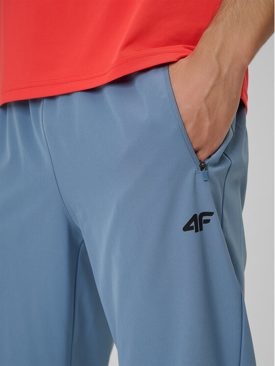 4F 4F Spodnie dresowe MULTI ACTIVE Regular Fit