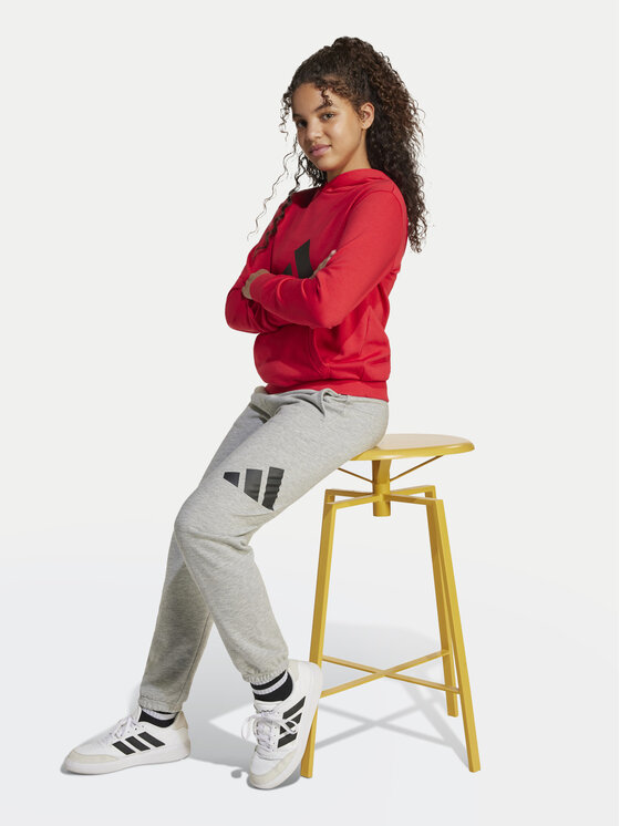 adidas adidas Спортивні штани Essentials JD2092 Сірий Regular Fit