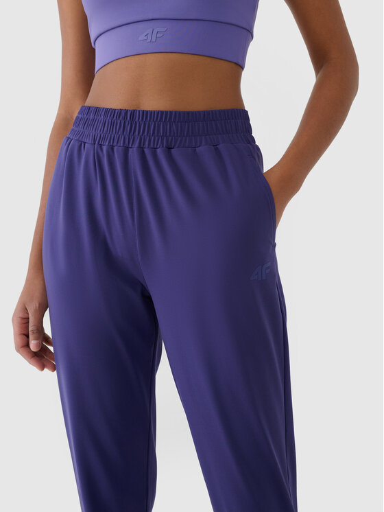 4F 4F Spodnie dresowe BASIC+ Granatowy Regular Fit